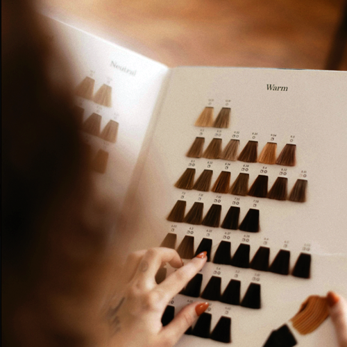 Selección